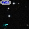 VVDS 220221621