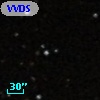 VVDS 220221694