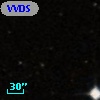 VVDS 220221699