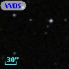 VVDS 220222513