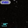 VVDS 220222786