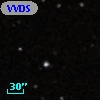 VVDS 220225197