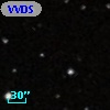 VVDS 220225331