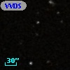 VVDS 220225455