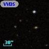 VVDS 220225667