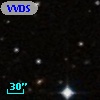 VVDS 220225687