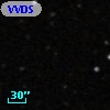 VVDS 220225893