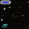 VVDS 220226101