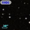 VVDS 220226178