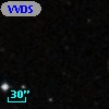 VVDS 220226769
