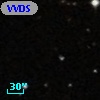 VVDS 220226862