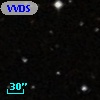 VVDS 220227584