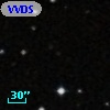 VVDS 220227757