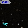 VVDS 220228276