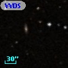 VVDS 220228327