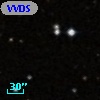 VVDS 220228341