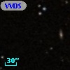 VVDS 220229119