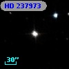 HD 237973