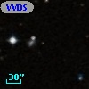 VVDS 220235393