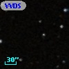 VVDS 220235486
