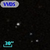 VVDS 220235750