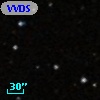 VVDS 220235876