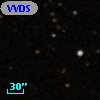 VVDS 220236103