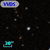 VVDS 220236267