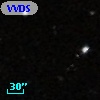 VVDS 220236316