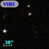 VVDS 220236942