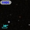 VVDS 220237638