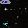 VVDS 220238783