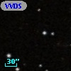 VVDS 220239473
