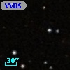 VVDS 220239483