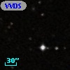 VVDS 220241703