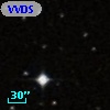 VVDS 220243218