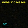 VVDS 220243346