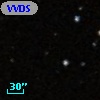 VVDS 220243785