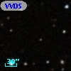 VVDS 220243797
