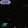 VVDS 220244491