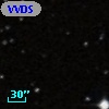 VVDS 220245294