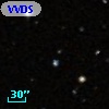 VVDS 220247181