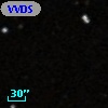 VVDS 220247264