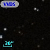 VVDS 220248428