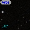 VVDS 220248855