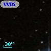 VVDS 220250060