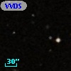 VVDS 220250298