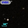 VVDS 220251600