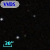 VVDS 220251665