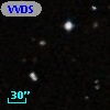 VVDS 220252208